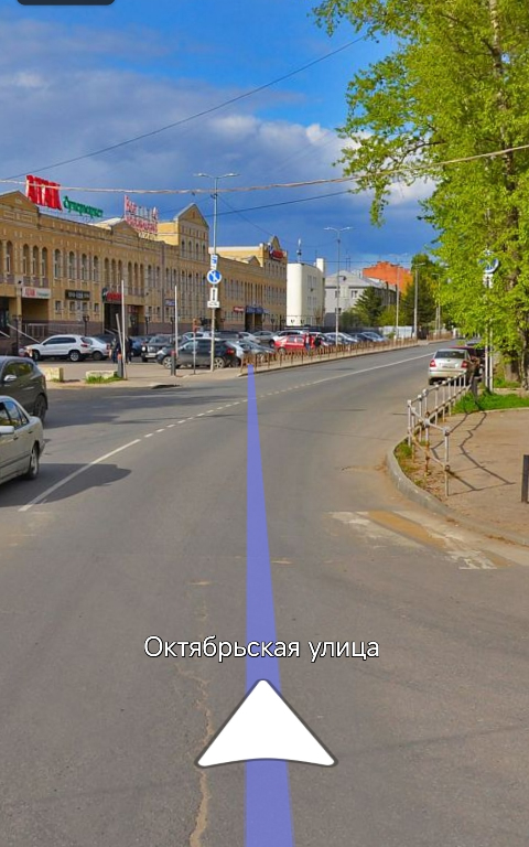 Принял на капот