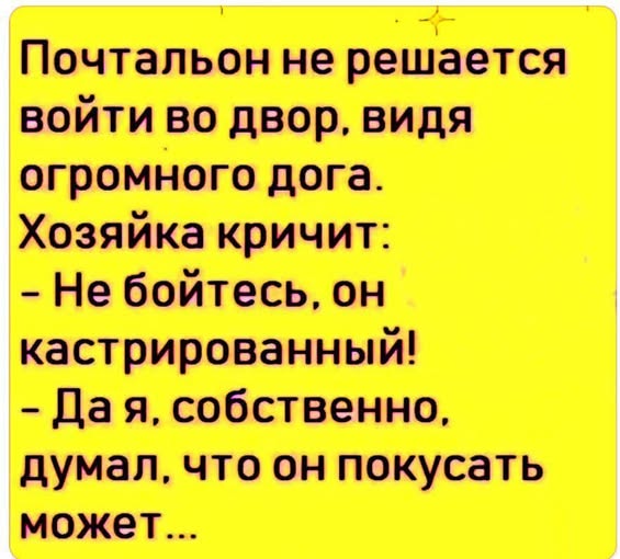Предновогодние бояны