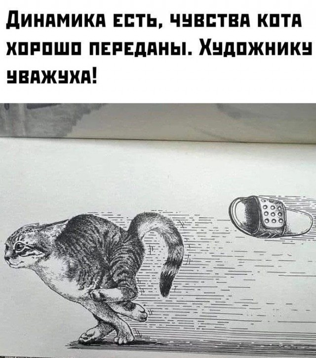 Жрат, жрат давай, я уже два часа голодаю