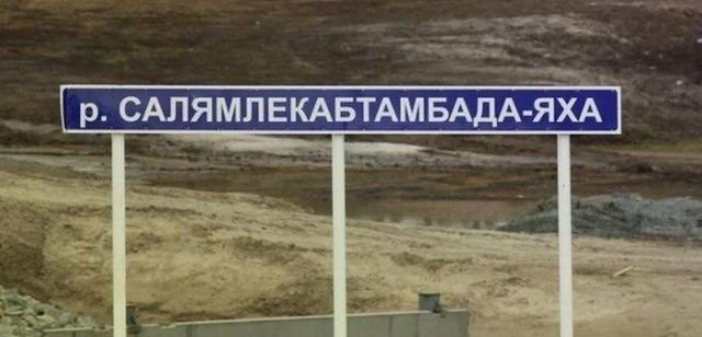 Картинки для деградации 155 (разной степени свежести)