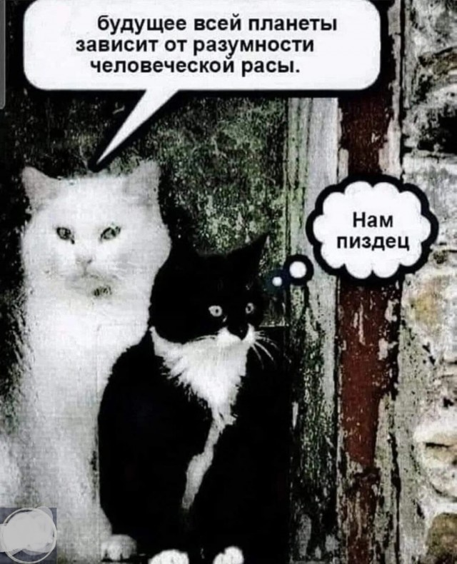 Картинки для деградации 171 (разной степени свежести)
