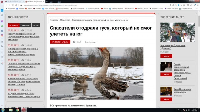 Пляжная мафия