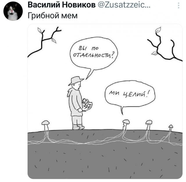 Так себе картинки 19.06.26