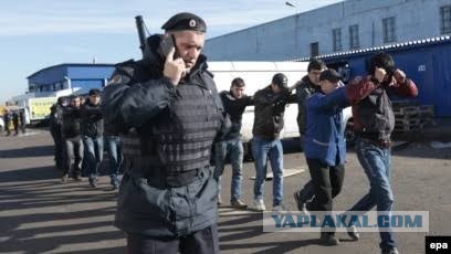 На французский нудистский пляж только строем