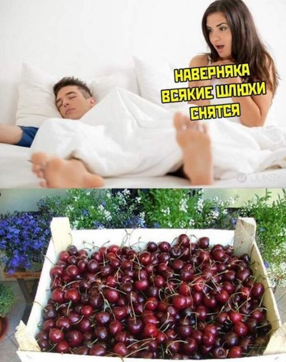 Картинки для деградации 242 (разной степени свежести)