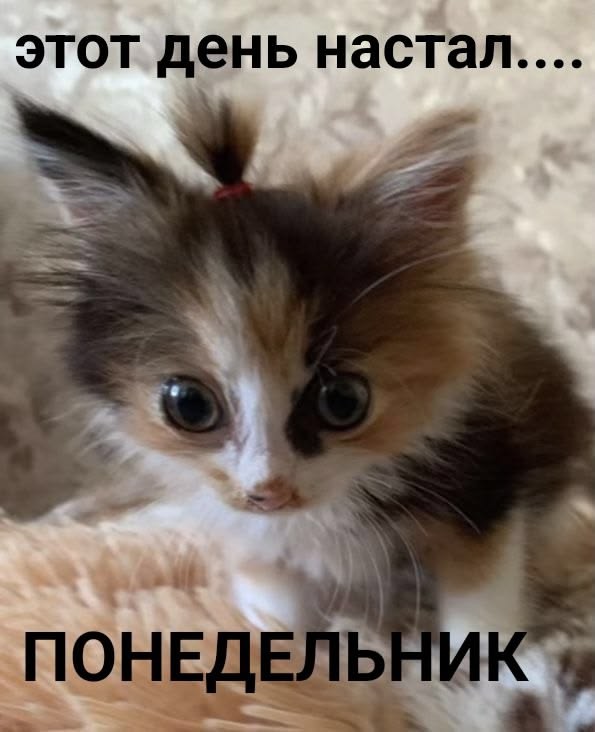 Изображения для сокращения лицевой мускулатуры #2