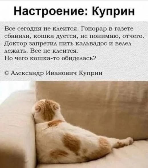 Картинки на среду