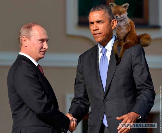 Путин и Обама на G20