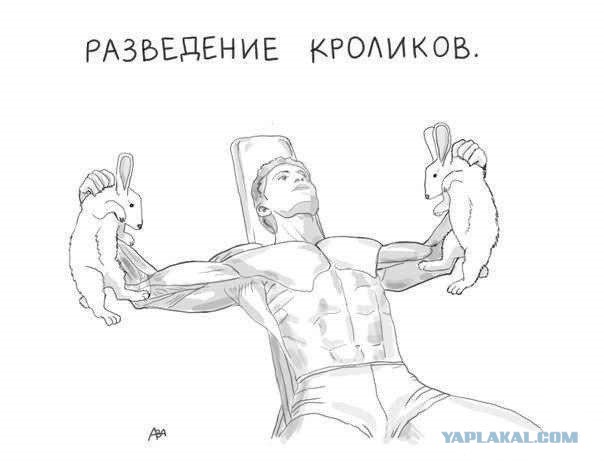 Легкая наркомания в картинках