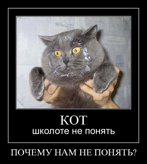 Унываторы (19 фото)