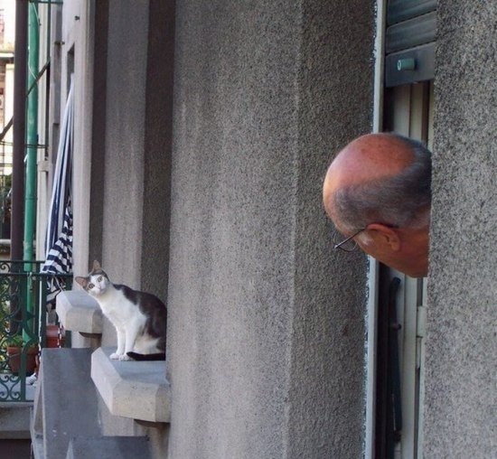 Подборка забавных и курьезных фотографий