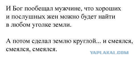 Веселые картинки? а так же комментарии)
