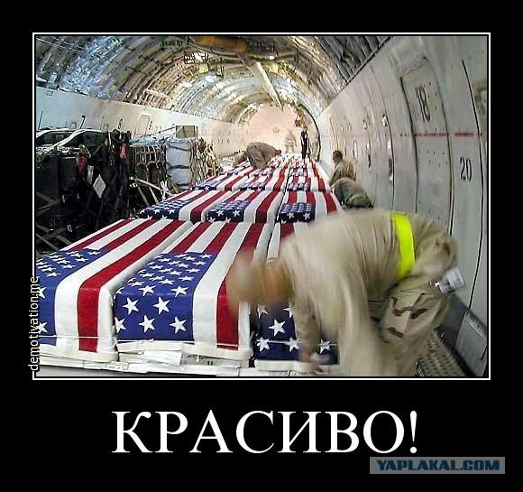 Самоликвидация карателей, идет в полный рост