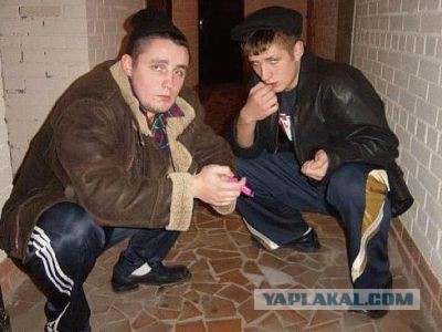 Купил вчера пивка