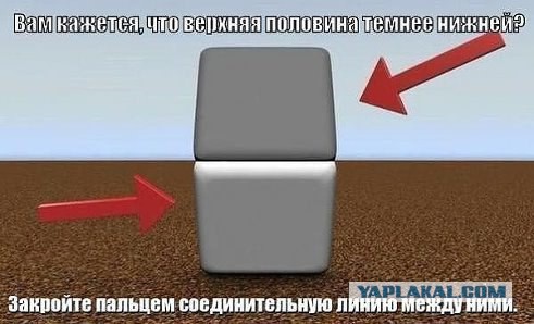 Не юкки ради, улыбки для...