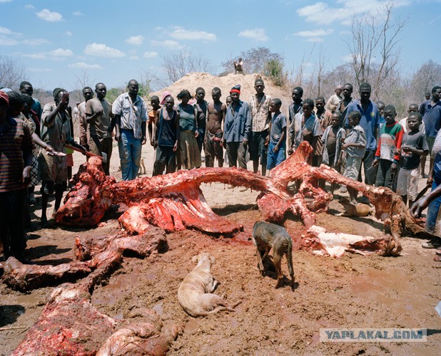 Типичные продукты китайского супермаркета