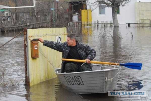 Тем временем в России...