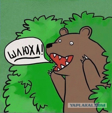 Требования к мужчине