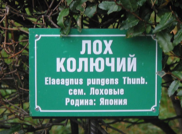 Очередная порция картинок