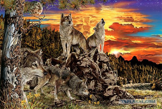 На картинке десять волков