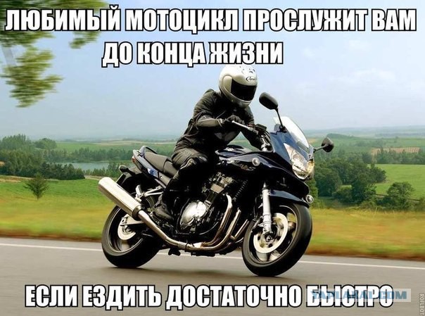 Почему многие не любят хрустов