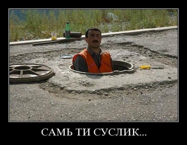 Веселые картинки
