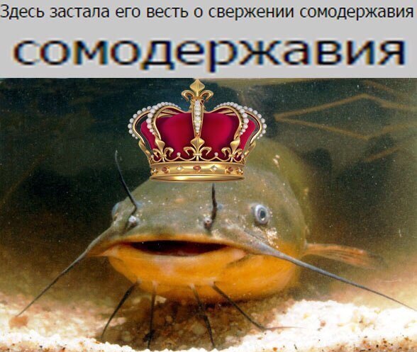 Закуток граммарнаци