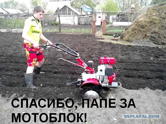 ФОТОЖАБА «Спасибо»