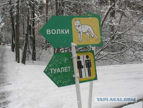 Прикольные картинки