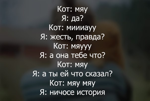 Смешные комментарии 16.08.2015