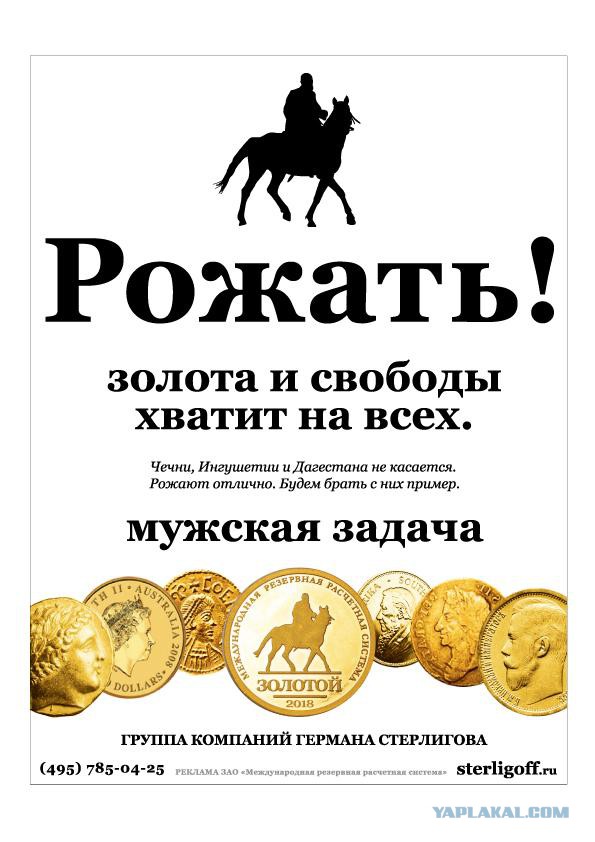 Герман Стерлигов задержан в аэропорту Домодедово