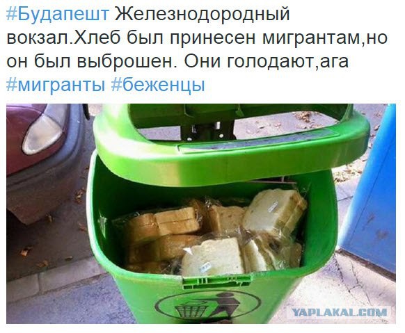 10 Политических картинок
