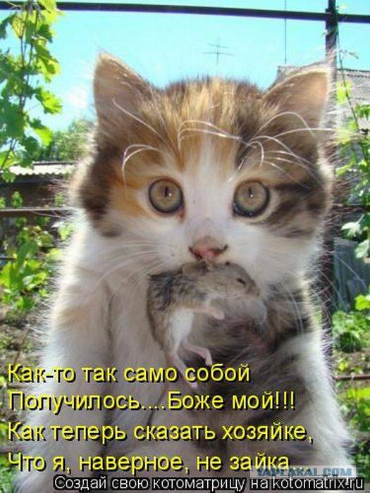 Плюшкиным посвящается
