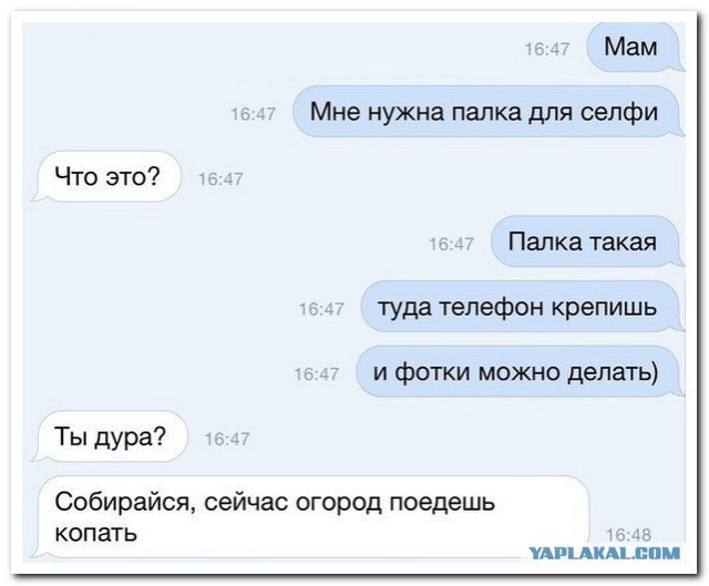 Картинки на пятницу
