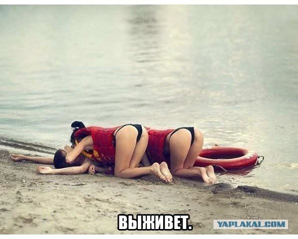 Подборка картинок