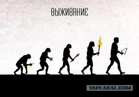 Картинки смешные и несмешные