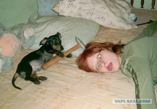 Ужасы и приколы из соцсетей 18+