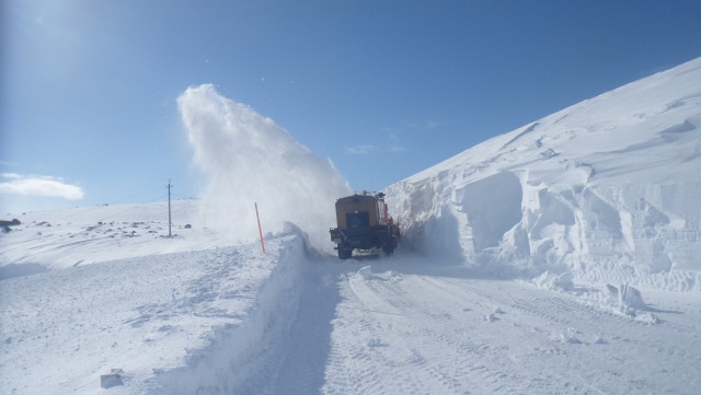 Из жизни долболобов
