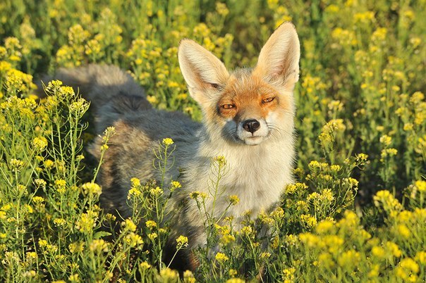 Красивая Россия