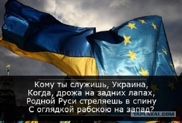 Киев отказался быть Москве городом-побратимом