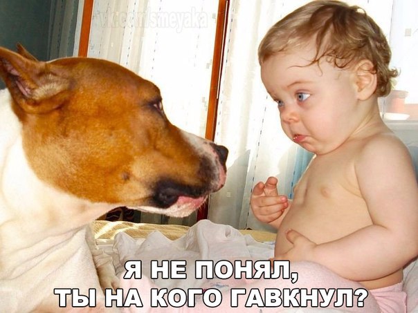 Небольшой микс картинок и гифок