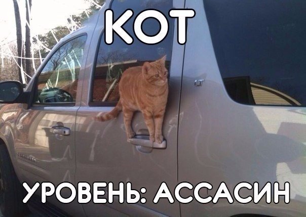 Разные картинки из сети