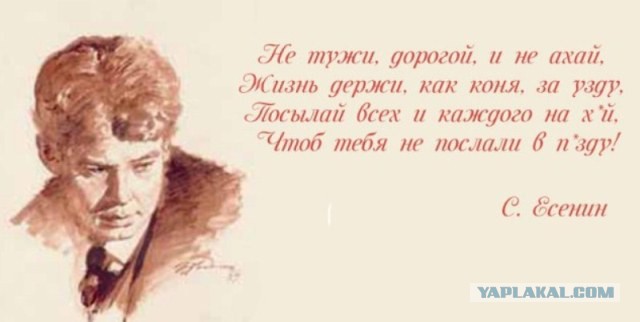 Хорошо сказал