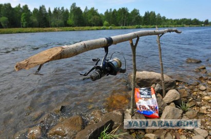 Рыбалки пост, или фидер любимая снасть