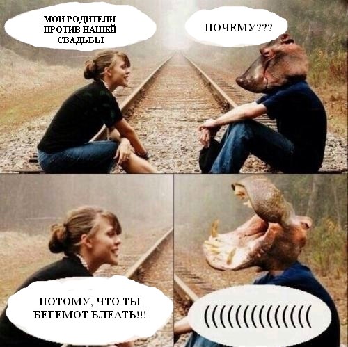 Адовый трэш и идиотизм со всей Галактики