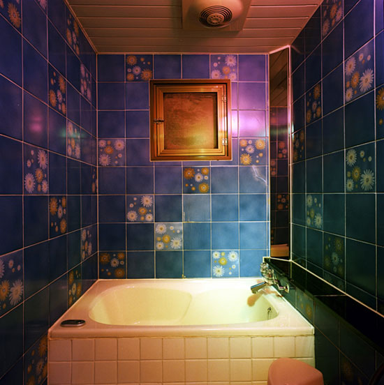 Японский дом любви (13 фото)