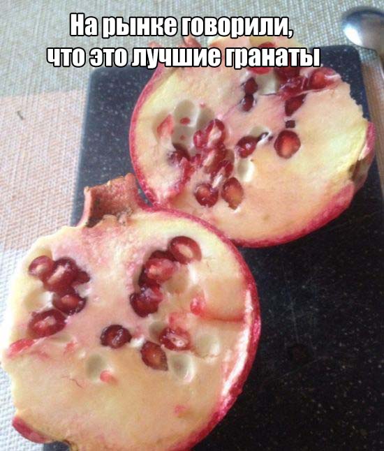 Фотоподборка в стиле "когда тебе не везет и как с этим бороться"