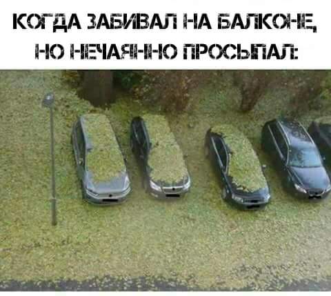 Немного деграданса - 6