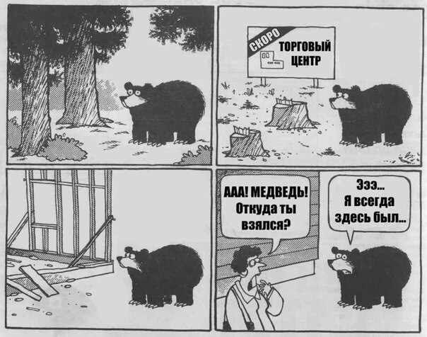 Американка увидела в кровати рядом с собой пуму и решила, что это сон