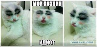 Стриги собаку правильно